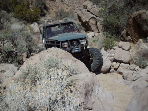 1982 Toyota 4Runner “Rabid Squirrel”
