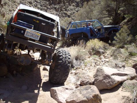 1982 Toyota 4Runner “Rabid Squirrel”
