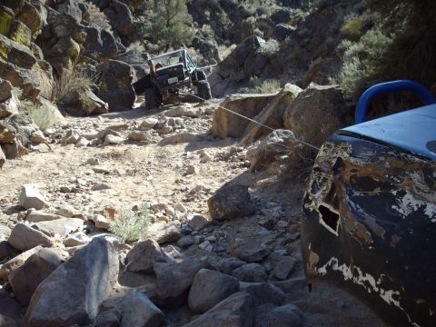 1982 Toyota 4Runner “Rabid Squirrel”