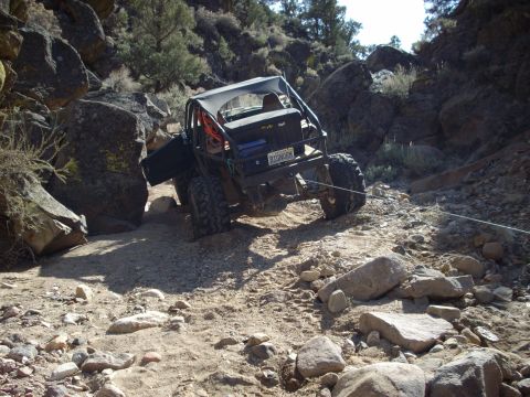 1982 Toyota 4Runner “Rabid Squirrel”