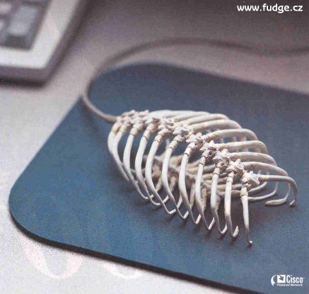 1991 Ford Crown Victoria - A mouse skeleton is placed on a mousepad, with a keyboard visible in the background.