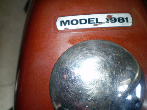 1981 Garelli Rally Sport - A metallic orange fuel tank features a "MODEL 1981" badge and a scratched chrome cap.