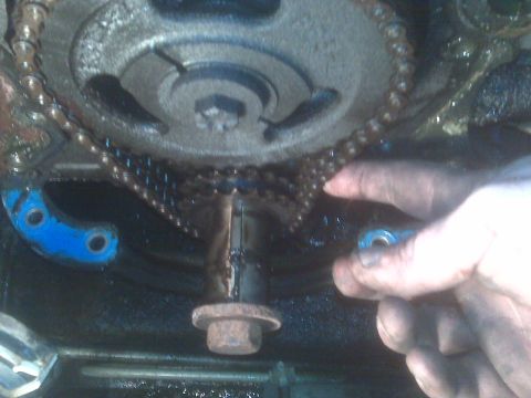 1995 Ford Bronco - Close-up view of an engine's timing chain and gears, with a hand visible.