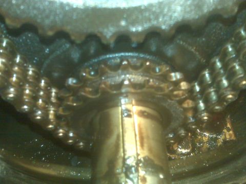 1995 Ford Bronco - Engine timing chain and gears are visible in this close-up shot, which also features a SuperMotors logo in the corner.