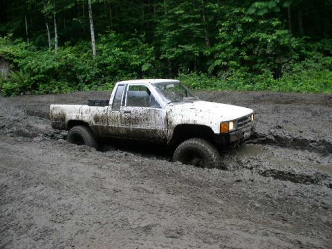 1979 Ford Bronco - A white pickup truck is deeply stuck in thick mud, with trees in the background.