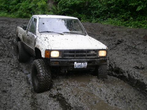 1979 Ford Bronco - White Toyota pickup truck with large tires stuck in deep mud on a wooded trail.