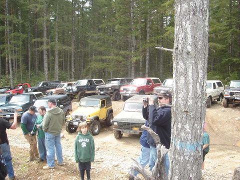 1989 Ford Bronco - A collection of off-road vehicles, including a 1989 Ford Bronco, are gathered in a wooded area.