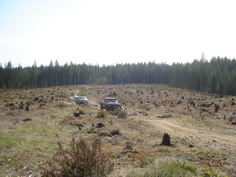 1989 Ford Bronco - Two trucks navigate a rough, deforested terrain with a dense forest lining the horizon.