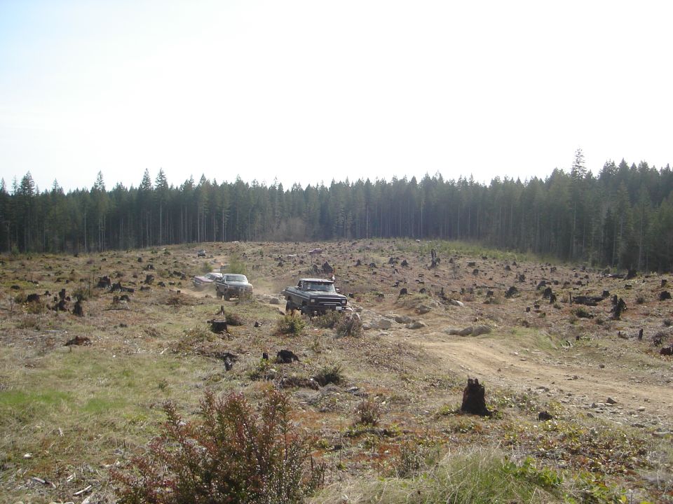 Two trucks driving on a dirt road in a deforested area with a forest in the background