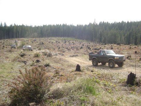 1989 Ford Bronco - 1989 Ford Bronco navigates a rough, deforested terrain with other vehicles following behind.