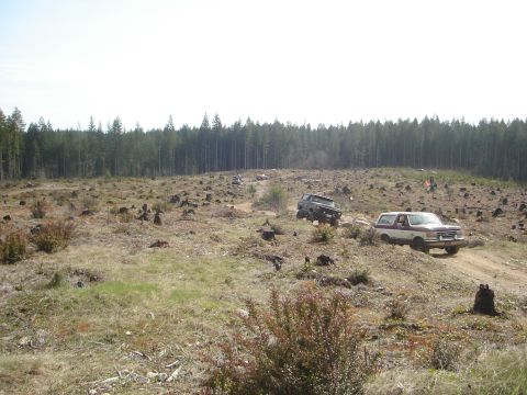 1989 Ford Bronco - Several SUVs navigate a rough, deforested terrain with a dense forest lining the horizon.