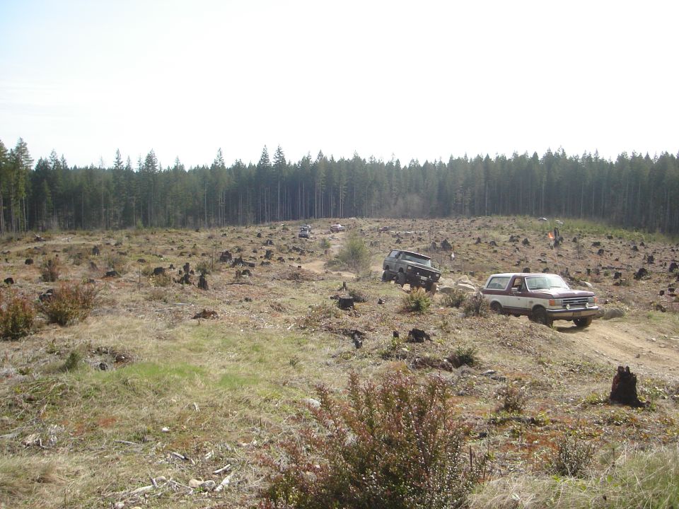 Two-tone SUV on a dirt road in a deforested area with trees in the background