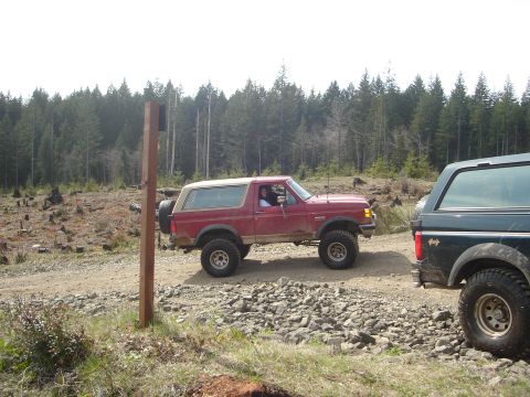 1989 Ford Bronco - Two Ford Broncos on a dirt road in a wooded area.