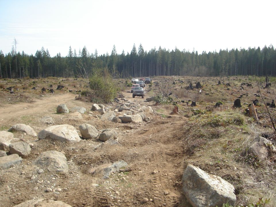 Several SUVs driving on a rough, rocky path through a cleared forest area