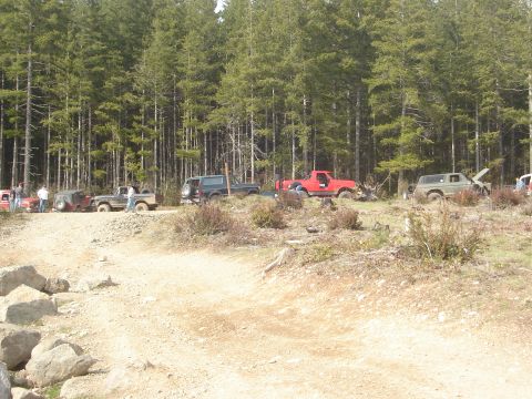 1989 Ford Bronco - A group of SUVs, including a 1989 Ford Bronco, are parked on a dirt road surrounded by a dense forest.