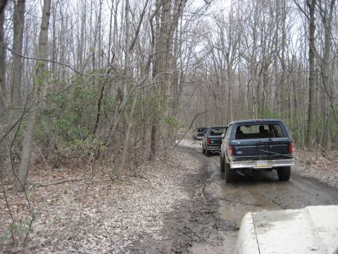 1991 Ford Bronco - A line of Ford Broncos navigates a muddy path through a dense forest.