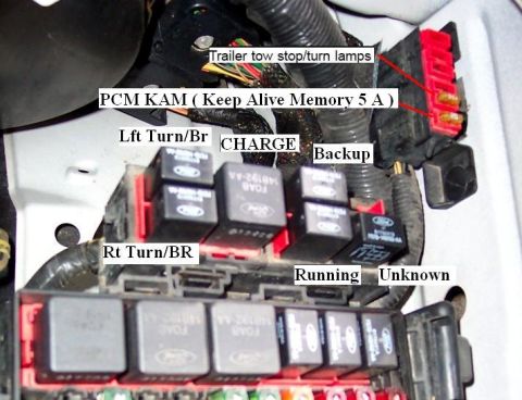 2007 Ford Mustang - Labeled relays in a vehicle's fuse box indicate functions like turn signals and PCM KAM.