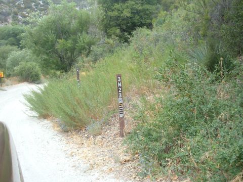 1988 Ford Bronco - Trail markers indicate a route through a natural landscape with dense vegetation.