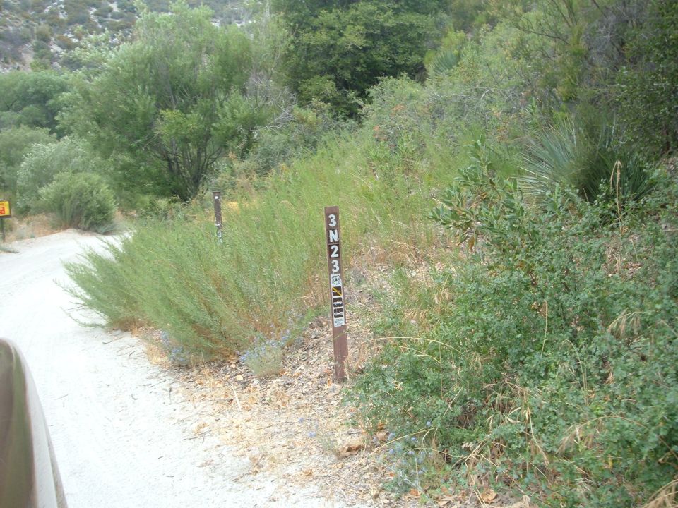Dirt road with trail markers on the side, surrounded by brush and trees