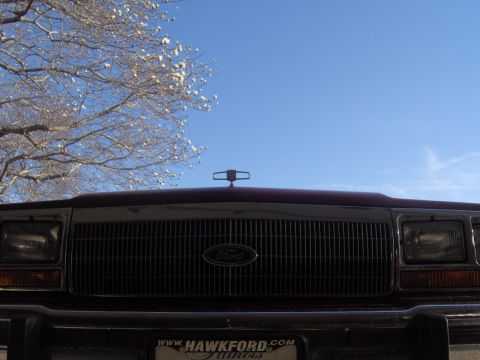 1990 Ford Crown Victoria LTD - Kneel beforth the LTD