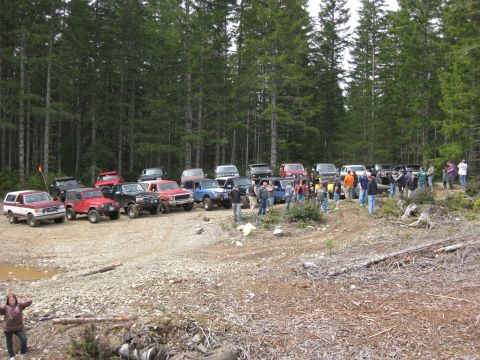 1979 Ford Bronco - Many off-road vehicles are gathered in a wooded area with people milling about.