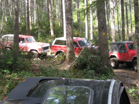 1979 Ford Bronco - Several off-road vehicles, including a red 1979 Ford Bronco, navigate a wooded trail.