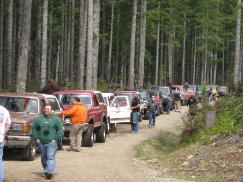 1979 Ford Bronco - A group of off-road vehicles are parked on a dirt road surrounded by tall trees.