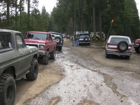 1979 Ford Bronco - Several off-road vehicles are parked on a dirt road in a wooded area.