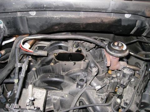 2007 Ford Mustang - Close-up view of an engine's intake manifold system, showing various hoses and electrical connectors.