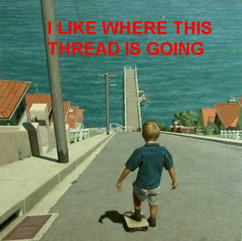 1978 Ford F-250 - Child on skateboard on a hill overlooking the ocean with houses and a pier.