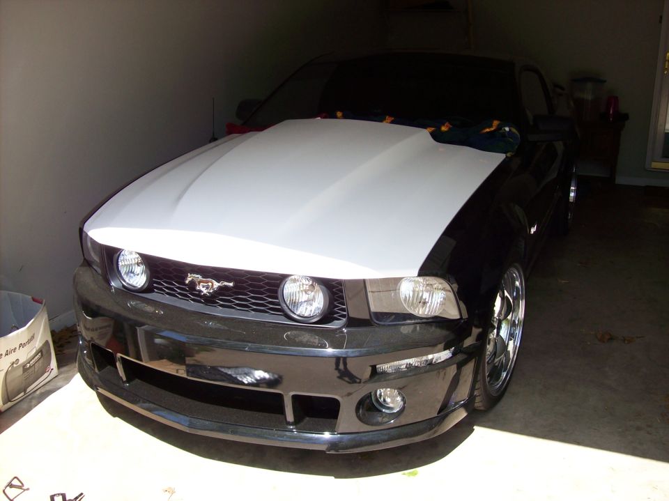 2007 Ford Mustang front view, white hood