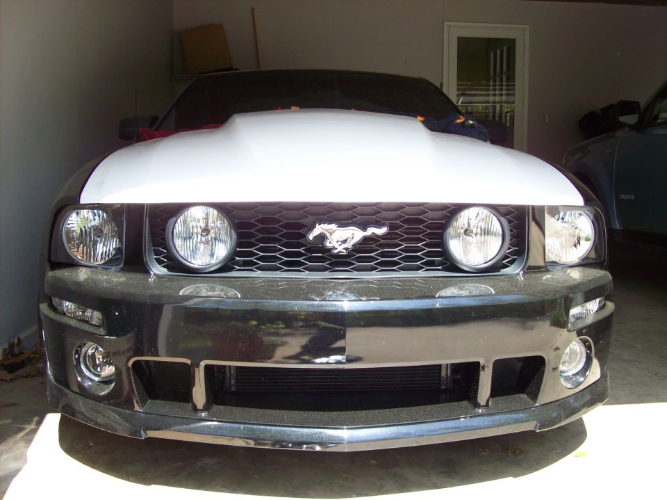 Front view of a Ford Mustang with a white hood scoop. It has a honeycomb grille with a running horse emblem