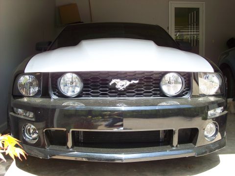 2007 Ford Mustang - The front of a Ford Mustang is visible, a custom hood and the iconic running horse emblem on the grille.