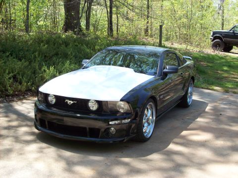 2007 Ford Mustang - A black 2007 Ford Mustang coupe is parked outside, a contrasting white hood and chrome wheels.