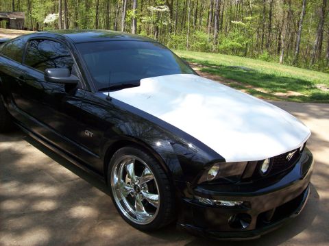 2007 Ford Mustang - A black Ford Mustang GT with a white hood sits on a paved surface in front of a wooded area.