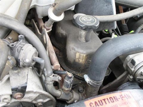 1992 Ford Bronco - Close-up view of an engine bay, showing various hoses and the oil cap.