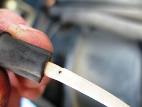 1992 Ford Bronco - Close-up of a hand holding a damaged spark plug wire, likely for replacement.