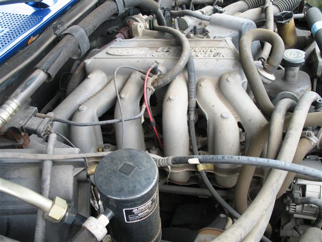 Close-up of a Ford V8 engine with intake manifold and hoses