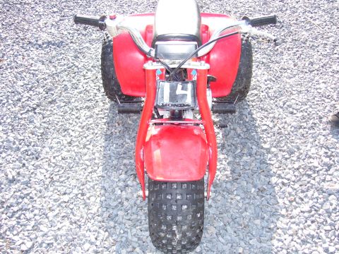1984 Honda ATC 110 photo