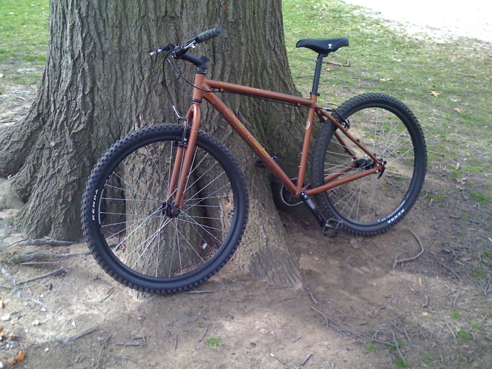 Brown hardtail mountain bike leaning against a tree trunk on grass