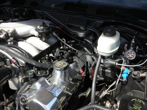 1992 Ford Crown Victoria - Close-up view of a modified engine bay, chrome valve covers and a polished intake manifold.