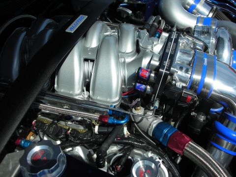 1992 Ford Crown Victoria - Custom engine bay modifications include a polished intake and braided fuel lines, with an Allutec strut bar.