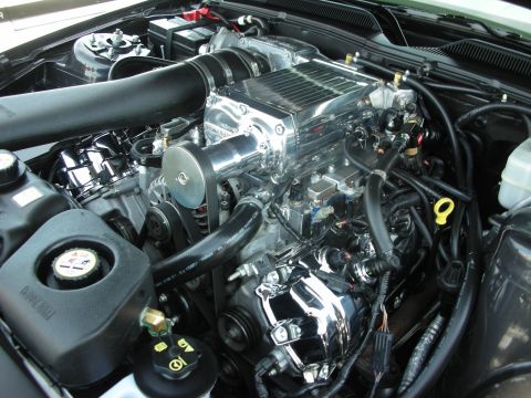 1992 Ford Crown Victoria - Engine bay detail showing a polished supercharger and associated plumbing.