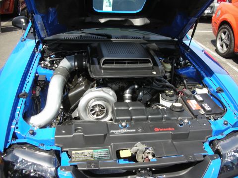1992 Ford Crown Victoria - Customized engine bay a ProCharger supercharger and Brembo brakes on a blue vehicle.