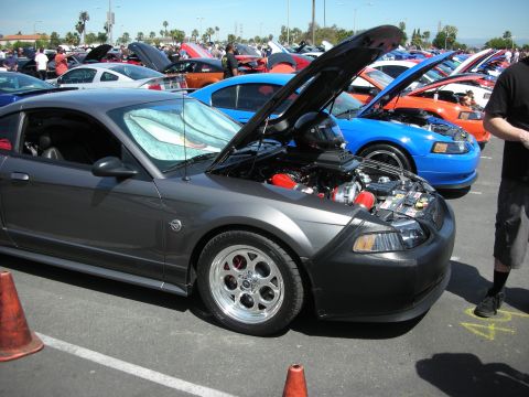 1992 Ford Crown Victoria - A line of cars with hoods open at a car show, including a dark gray coupe and a blue car.