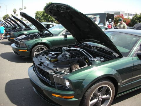 1992 Ford Crown Victoria - Several green Ford Mustangs are lined up with their hoods open, displaying their engines.