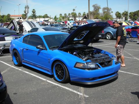 1992 Ford Crown Victoria - A bright blue Ford Mustang is displayed with its hood open at a car show, revealing the engine and custom black wheels with blue accents.