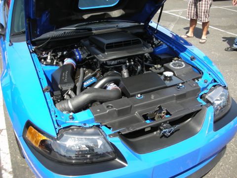 1992 Ford Crown Victoria - Engine bay of a blue Ford Mustang, a Mach 1 air intake system.