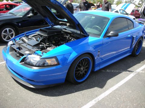 1992 Ford Crown Victoria - A blue Ford Mustang is parked with its hood open, revealing the engine bay.