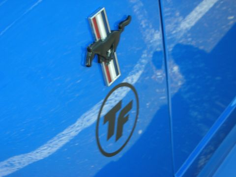 1992 Ford Crown Victoria - Close-up of a blue car's fender, showing a running horse emblem and a TF logo.